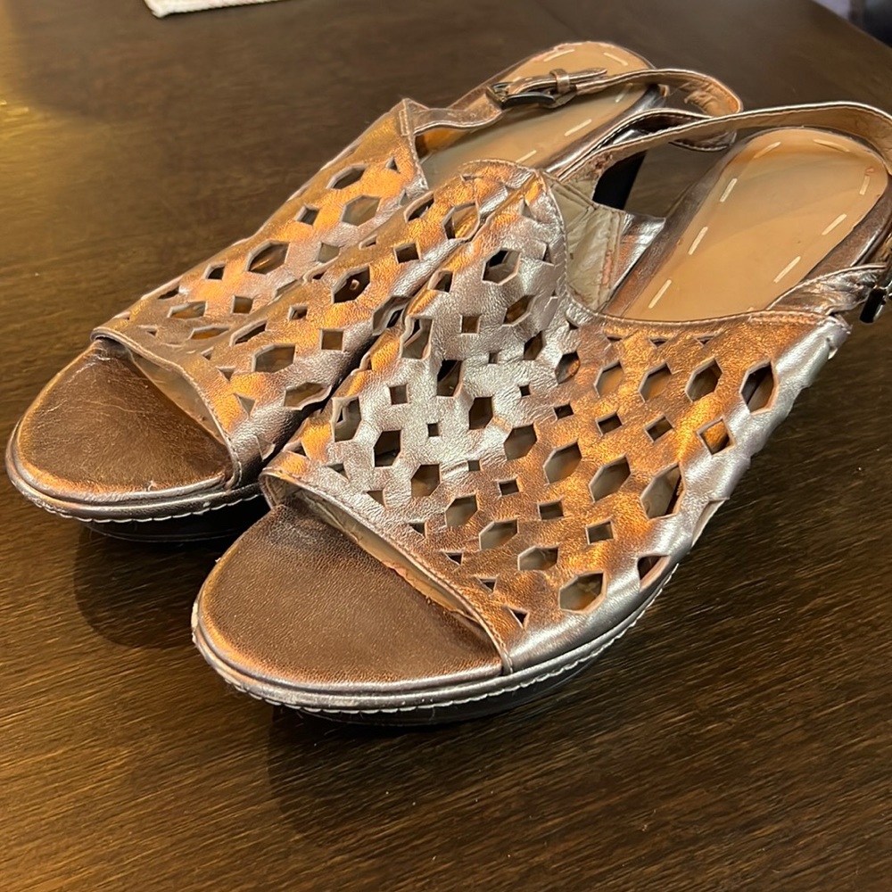 Wedge bronze shoe